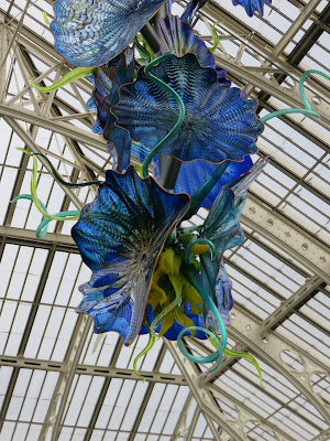 big blue glass flowers having from the roof  of a Victorian greenhouse (the temperate house at Kew)r