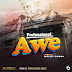  Professional Beat Ft Waley Conga - AWE