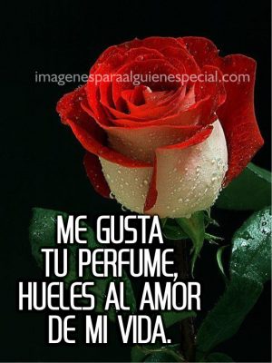 Frases E Imagenes De Amor