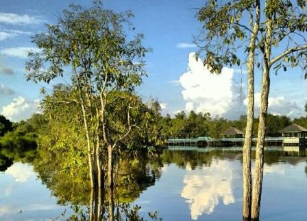  Palangkaraya Merupakan Ibukota dari provinsi Kalimantan tengah yang memiliki banyak obyek Keindahan Wisata Alam di Palangkaraya ini Akan Membuat Anda Terkesan