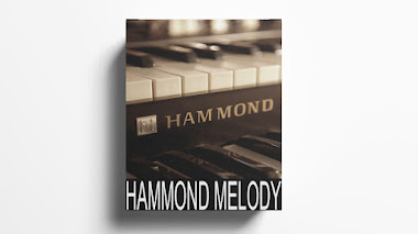 Free Hammond Organ loop kit / sample pack - Vol.1