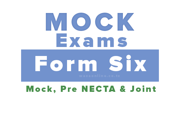 Form Six Mock Examinations All Regions 2024 with Marking Schemes