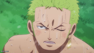 ワンピース アニメ エッグヘッド編 1091話 ロロノア・ゾロ Roronoa Zoro ONE PIECE Episode 1091