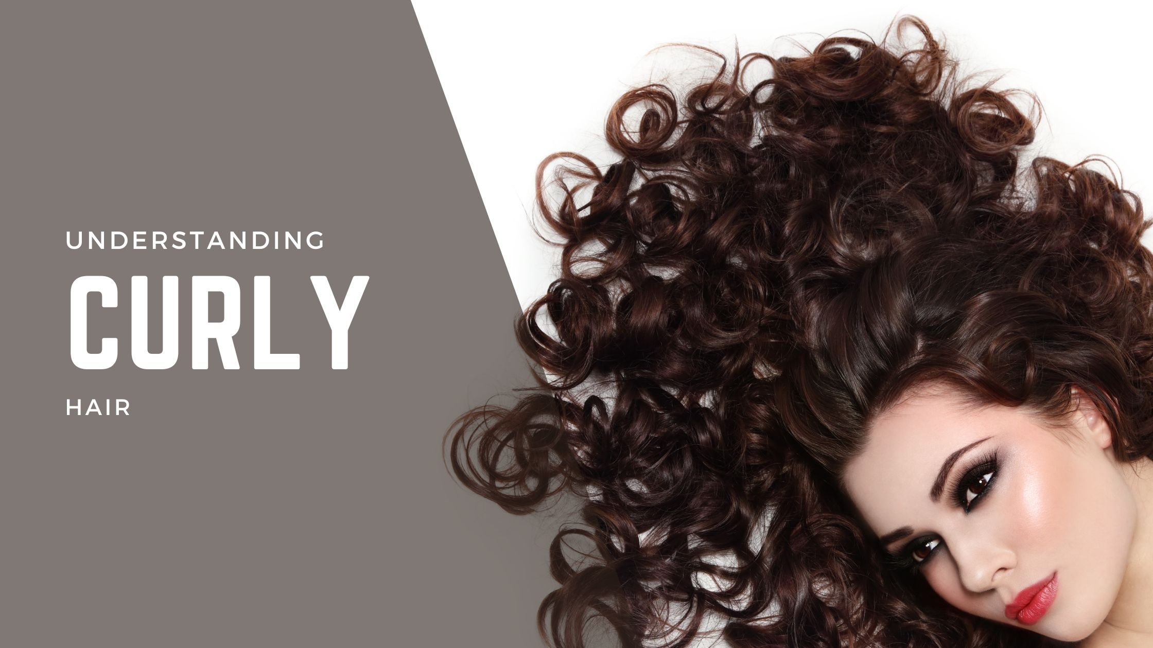 Understanding Curly Hair