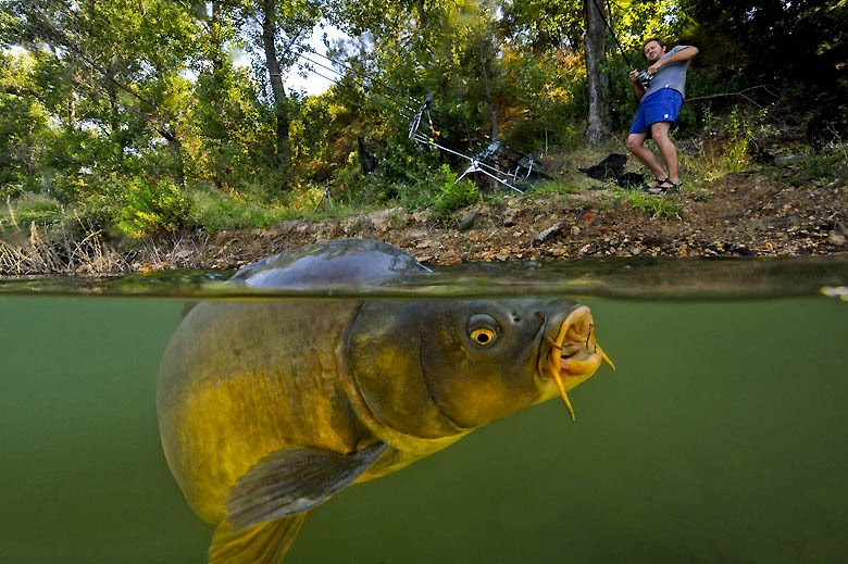 Terkeren 29 Gambar  Lucu  Mancing  Ikan Mas Richa Gambar 