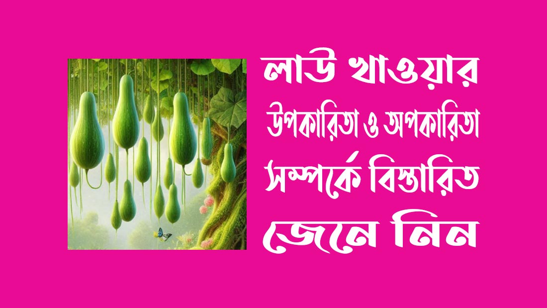 লাউ খাওয়ার উপকারিতা ও অপকারিতা সম্পর্কে বিস্তারিত জেনে নিন