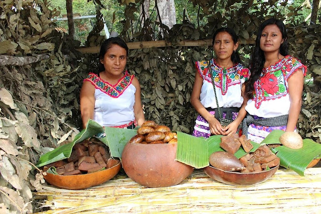 Mujeres rurales expresan experiencias de dignidad, lucha y trabajo