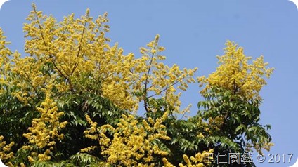 clip_image002