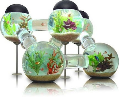 Model Aquarium Toples