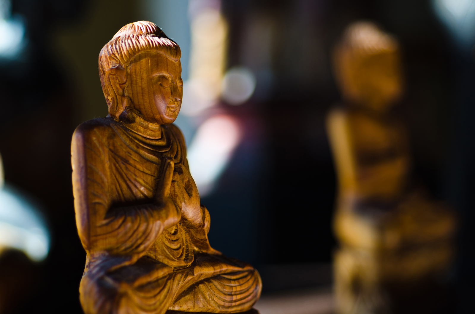 Buddha statue in meditation