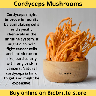 Benefits Of Cordyceps Mushroom