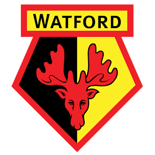 Logo Watford FC DLS