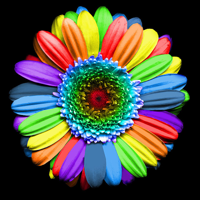 MY RAINBOWFLOWER...