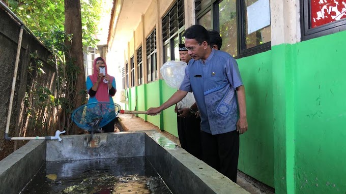 PEMBIBITAN 1000 EKOR IKAN LELE