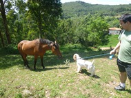 Trekking 7 (7)
