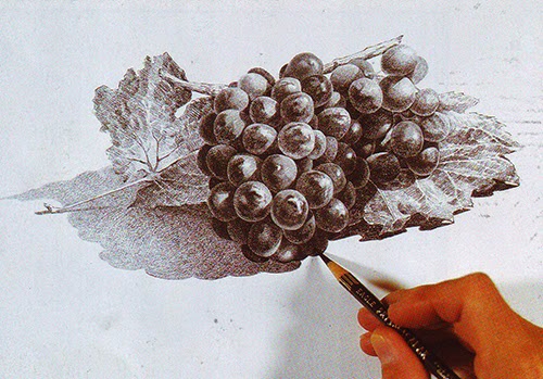  Gambar Gambar Sketsa Buah Anggur Dp Bbm Lukisan di Rebanas 