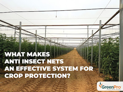 What Makes Anti-insect Nets An Effective System For Crop Protection?