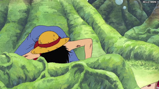 ワンピース アニメ 空島 スカイピア 163話 ルフィ Monkey D. Luffy | ONE PIECE Episode 163 Skypiea