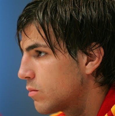 Cesc Fabregas Photo Gallery