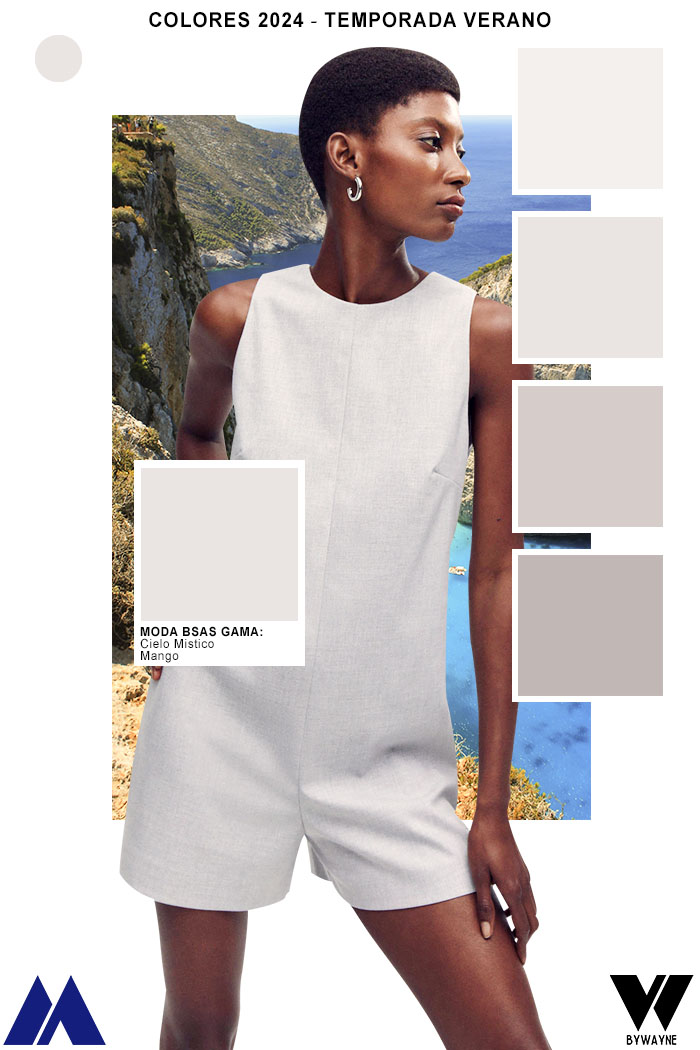 Gris colores de  moda neutros paleta de colores escala de grises moda 2024