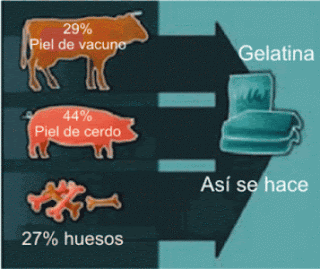 Como se hace la gelatina fabricacion