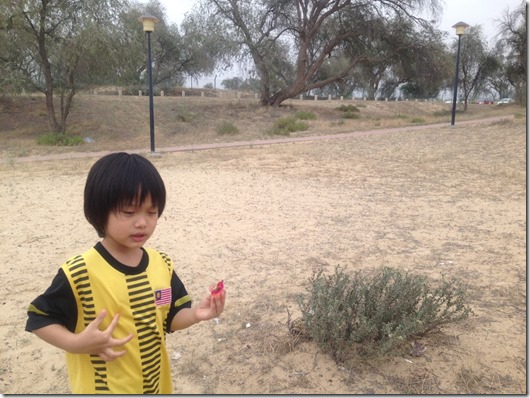 photo 1 (5)