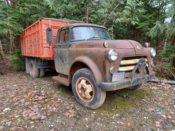 1954 Dodge Fargo 3 Ton Grain Truck