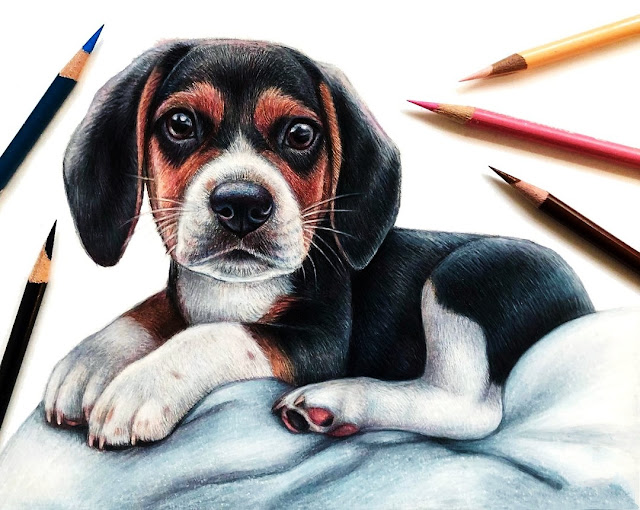 Cute Dogs Drawings Easy