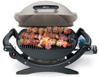 Weber Q 100 Gas Grill