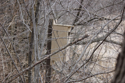 plans for wood duck house