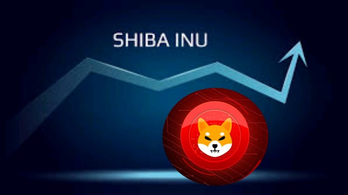  SHYTOSHI JUST ANNOUNCED 99% of SHIB SUPPLY WILL BE BURNT BY NEXT YEAR