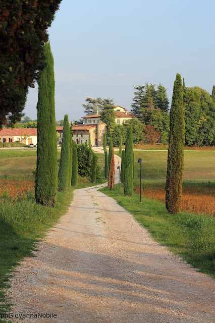 Cartoline dalla campagna