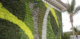 Vertical Garden Jakarta | Jasa Pembuatan Taman Vertical di Jakarta Barat | Utara | Selatan | Pusat | Timur | Bekasi | Depok | Bogor | Tangerang