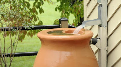 http://cdn.moneycrashers.com/wp-content/uploads/2011/04/rainwater-harvesting-system.jpg