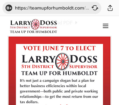 Elect Larry Doss Website