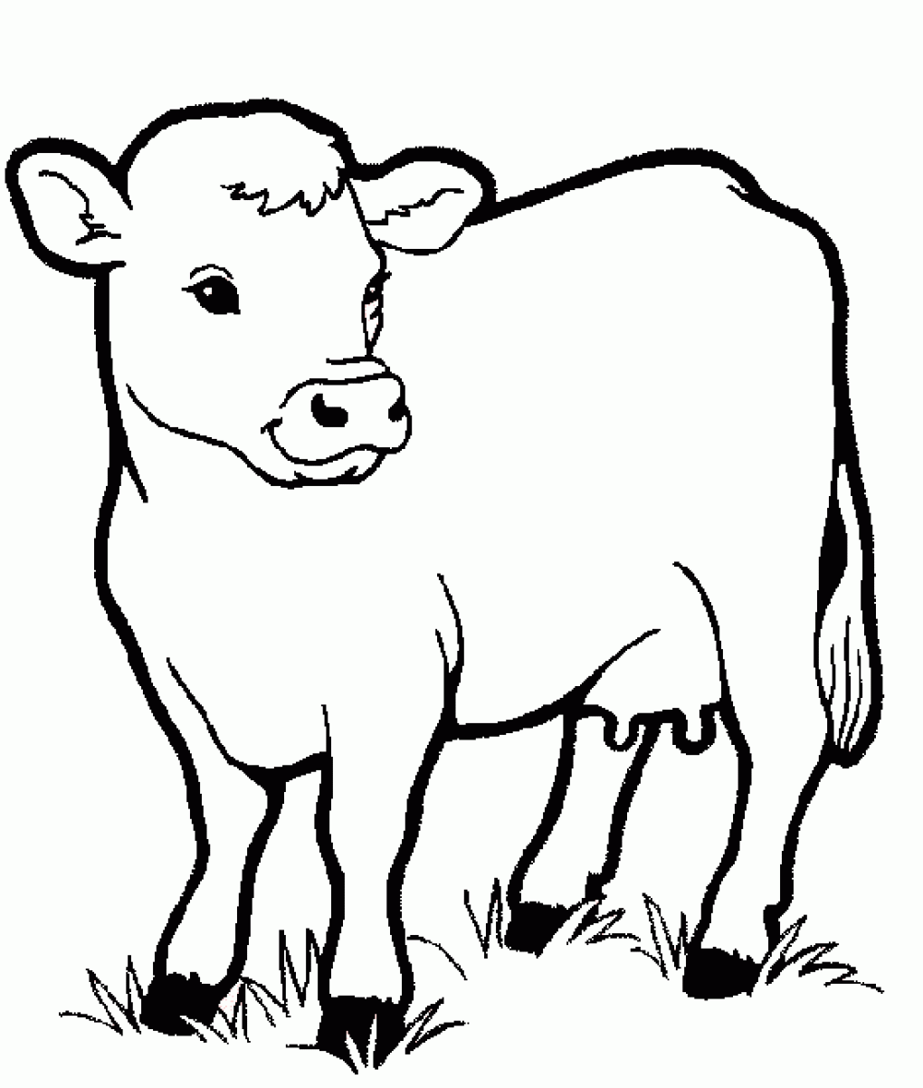 Cow Animals Coloring Pages For Kids ~ Printable Coloring Animal For Kids