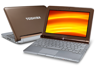 Toshiba NB305-N444BN