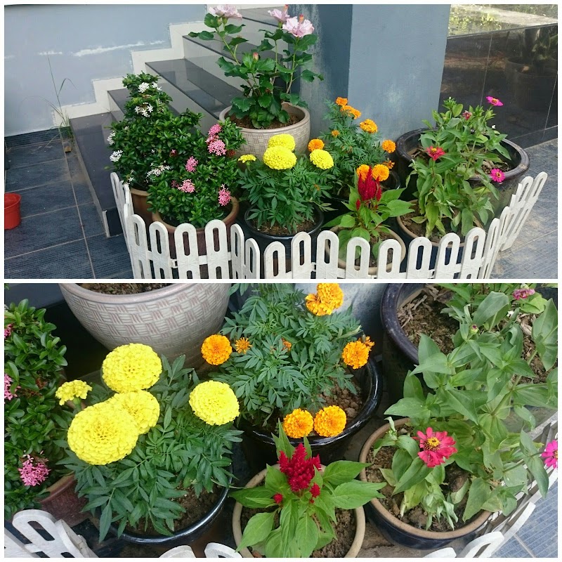 22 Info Spesial Taman Mini Di Rumah