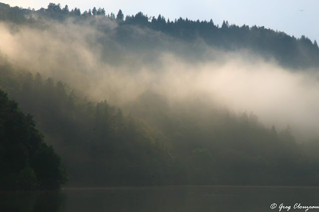Brume estivale sur le  Lac Chambon, Auvergne, France