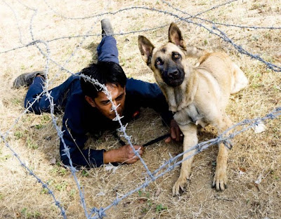 Canine Commandos Being Trained Seen On www.coolpicturegallery.us