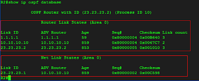 show ip ospf database R1