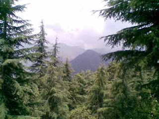 Lal Tibba 