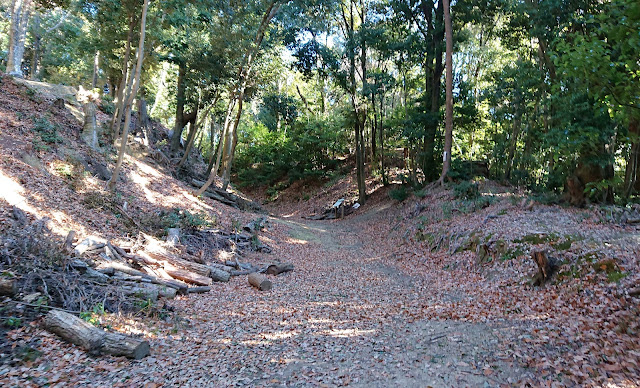 烏帽子形城跡(河内長野市)