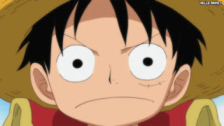 ワンピースアニメ 498話 幼少期 ルフィ かわいい Monkey D. Luffy | ONE PIECE Episode 498 ASL