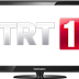 Trt1 canlı izle