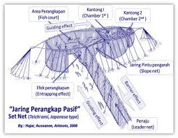 Bahan Alat Tangkap Set Net dan Hasil Tangkapannya