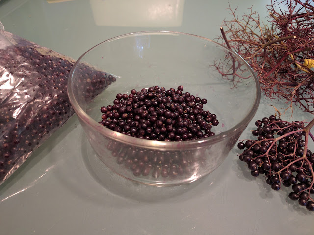 Elderberries - A Life Unprocesed