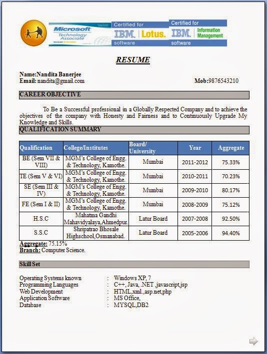 New Resume Format For Freshers Word File Free Download / Free Resume Template for Microsoft Word - You can download it as an ai file format.