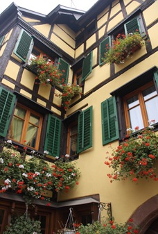 Alsace Oct 09 (225)