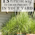 13 Attractive Ways To Create Privacy In Your Yard